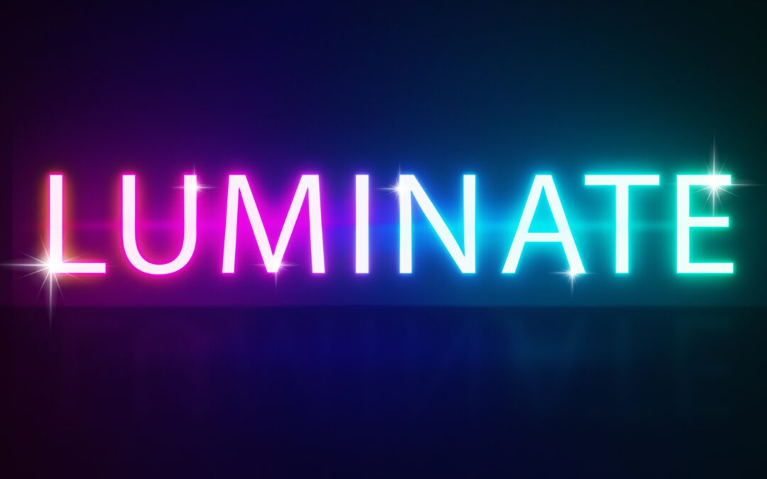 New Project – Luminate 2023